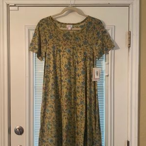 LuLaRoe Carly Dress!